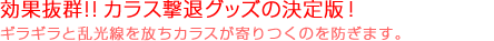 ʔQIJXރObY̌ŁI
